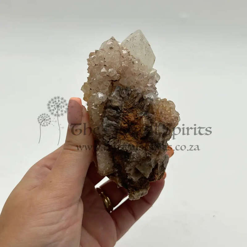 Cactus Quartz - king white cluster with Smoky Quartz tinges - red hematite and golden healer