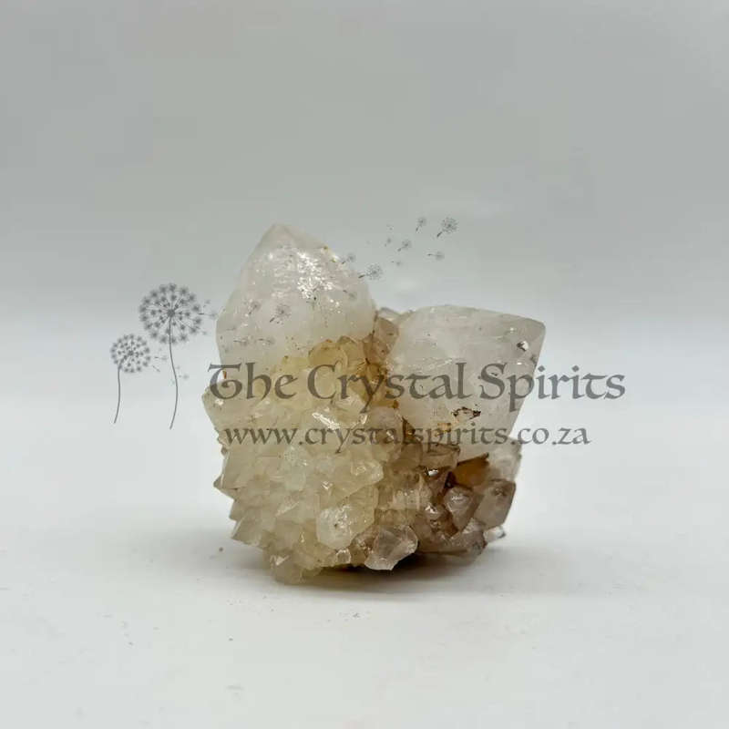 Cactus Quartz King White