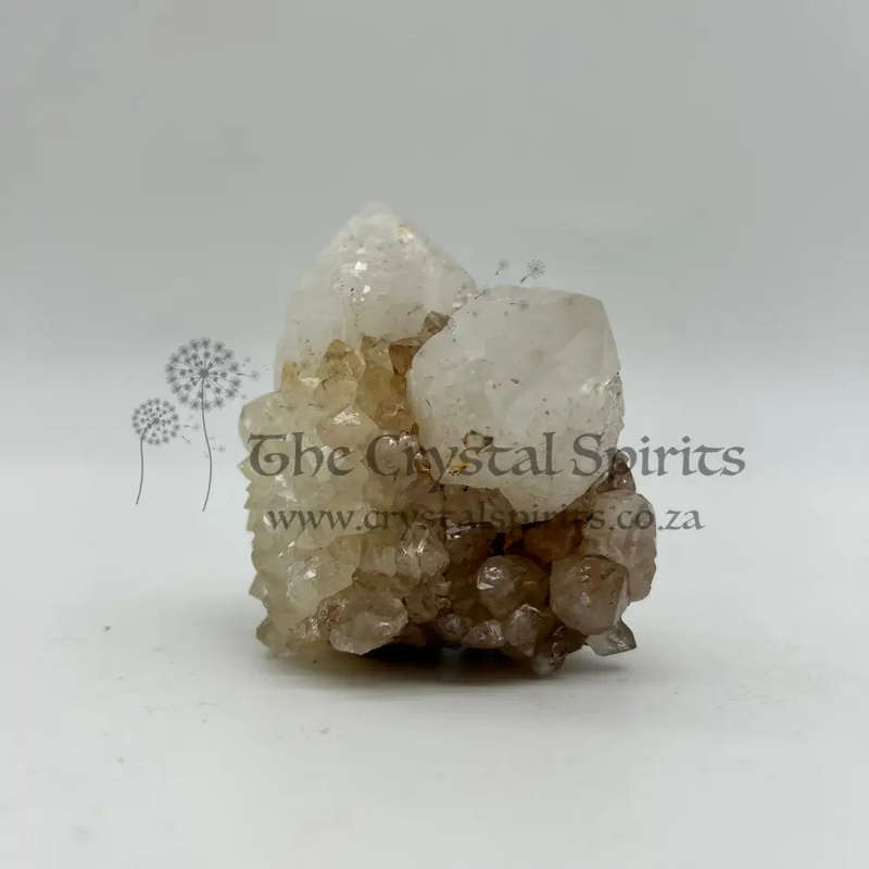 Cactus Quartz King White