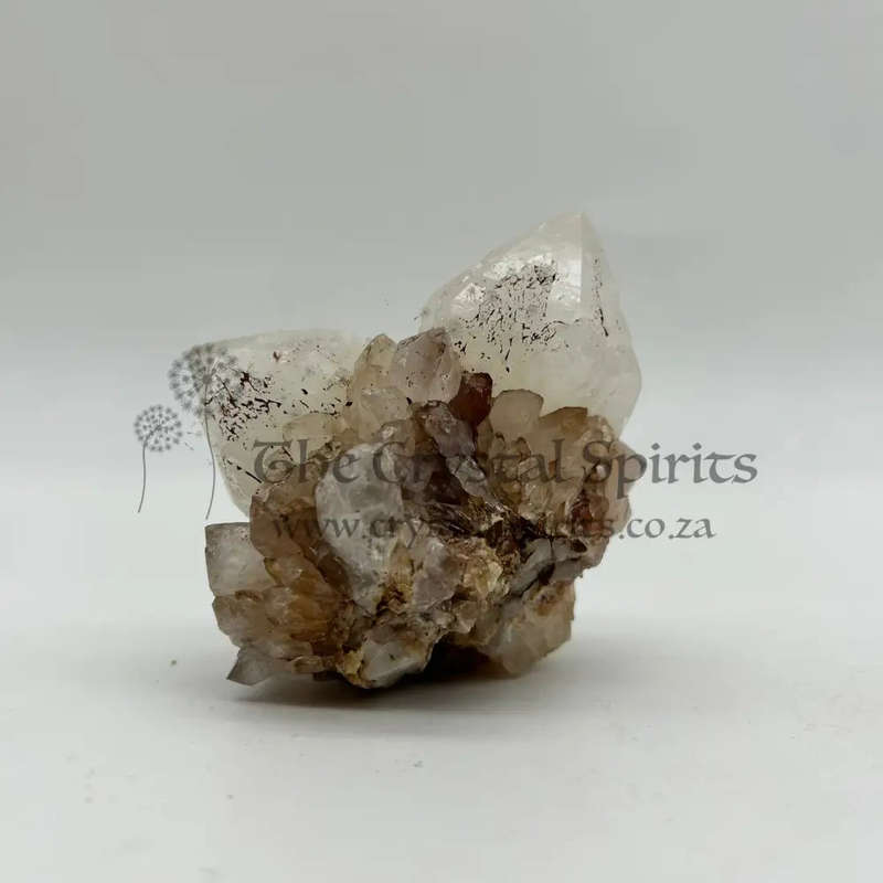 Cactus Quartz King White