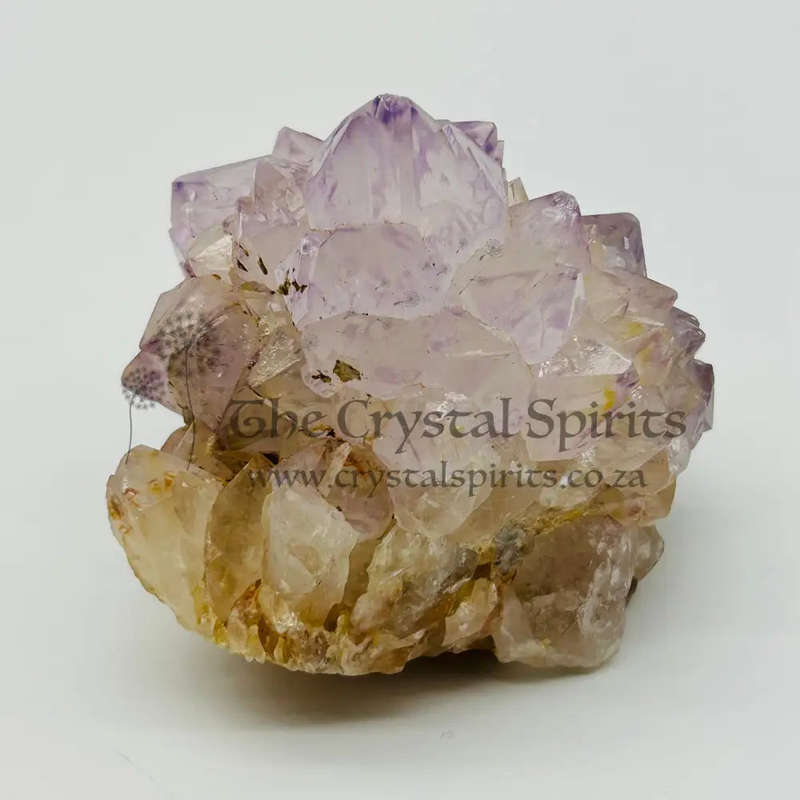 Cactus Quartz