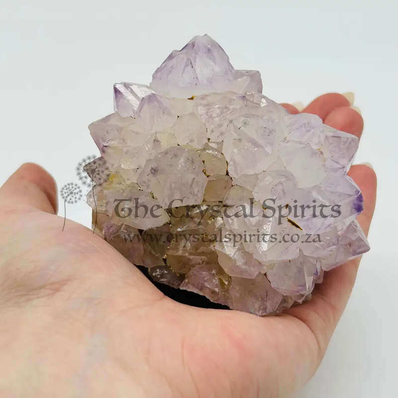 Cactus Quartz