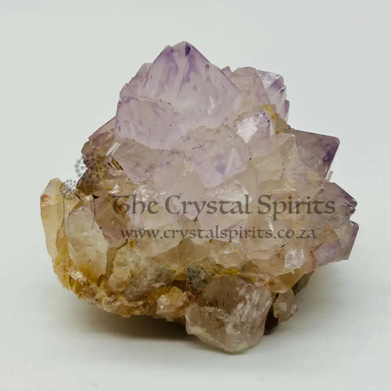 Cactus Quartz