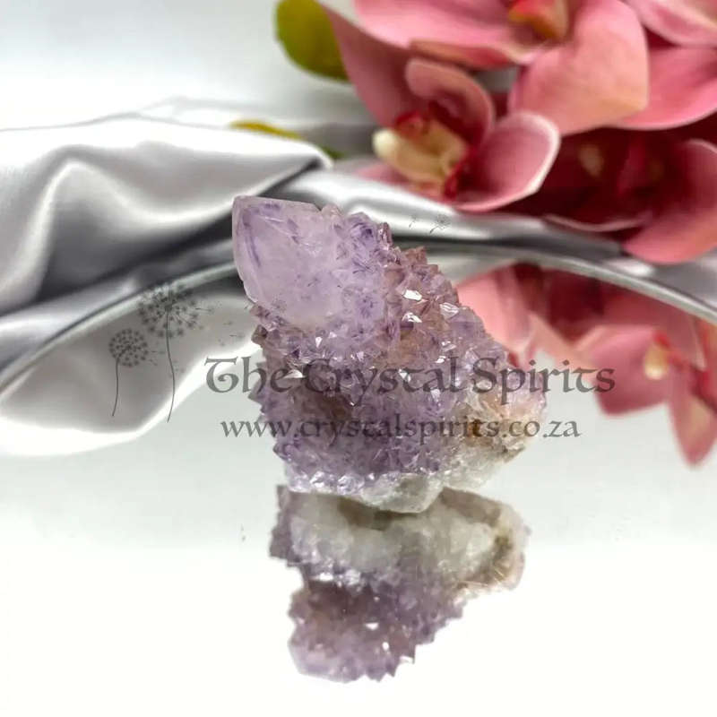 Cactus Quartz with Red Hematite Inclusion