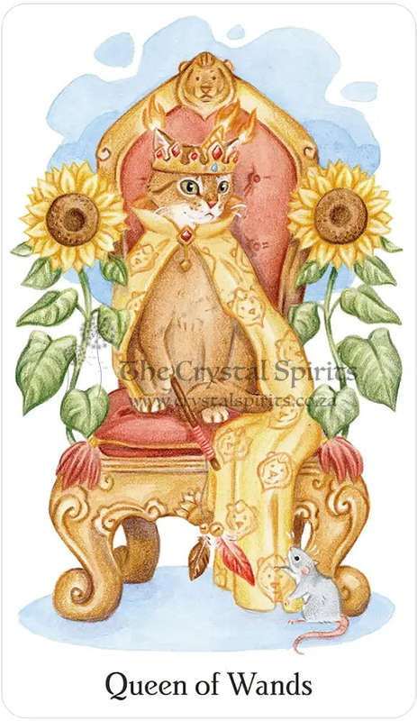 Caticorn Tarot by Pamela Chen