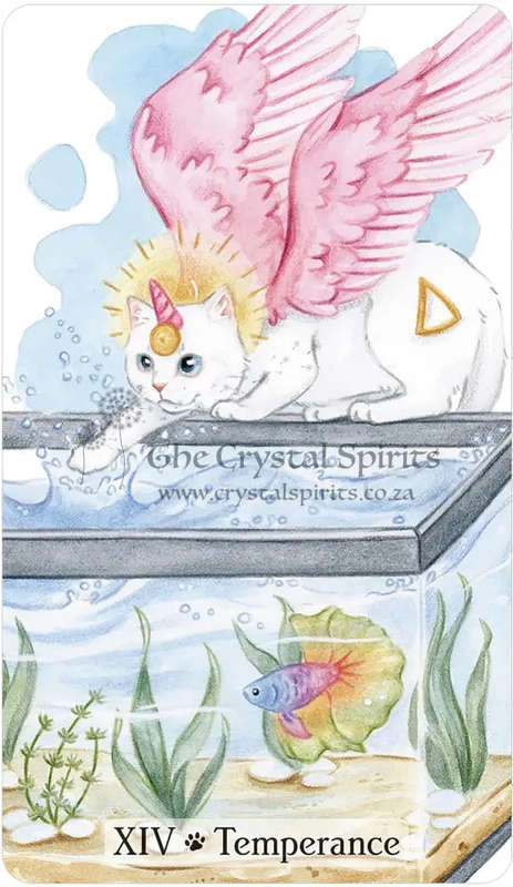 Caticorn Tarot by Pamela Chen
