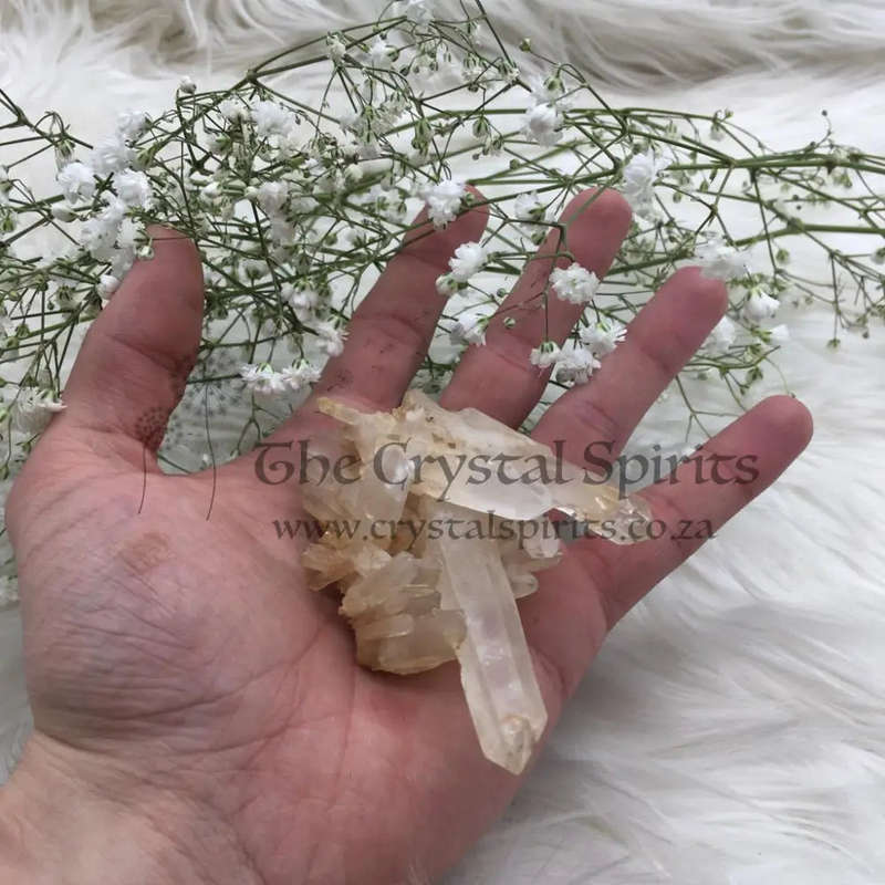 Clear Quartz Cluster
