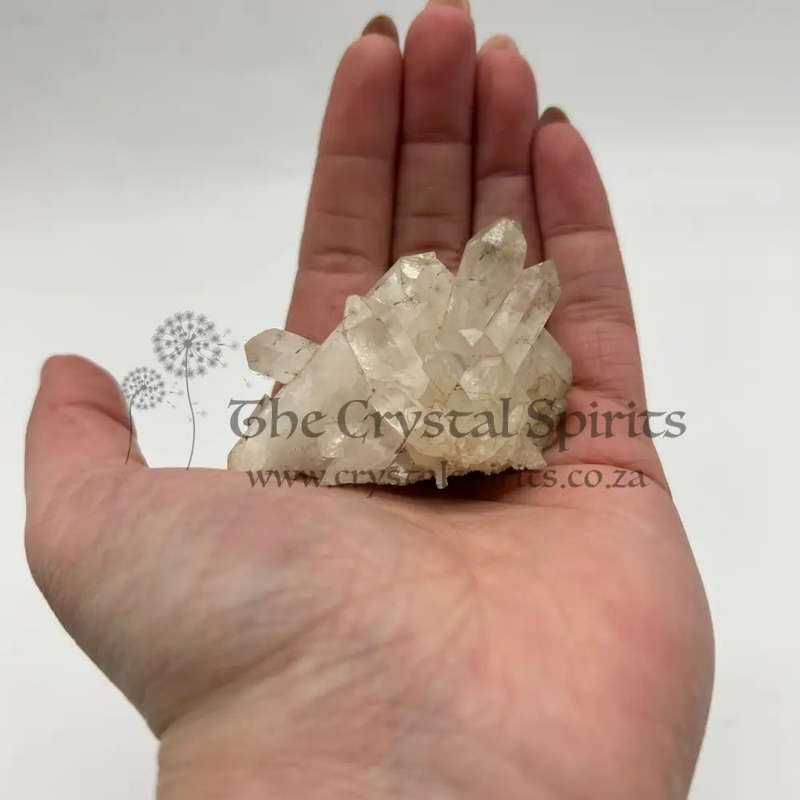 Clear Quartz Cluster