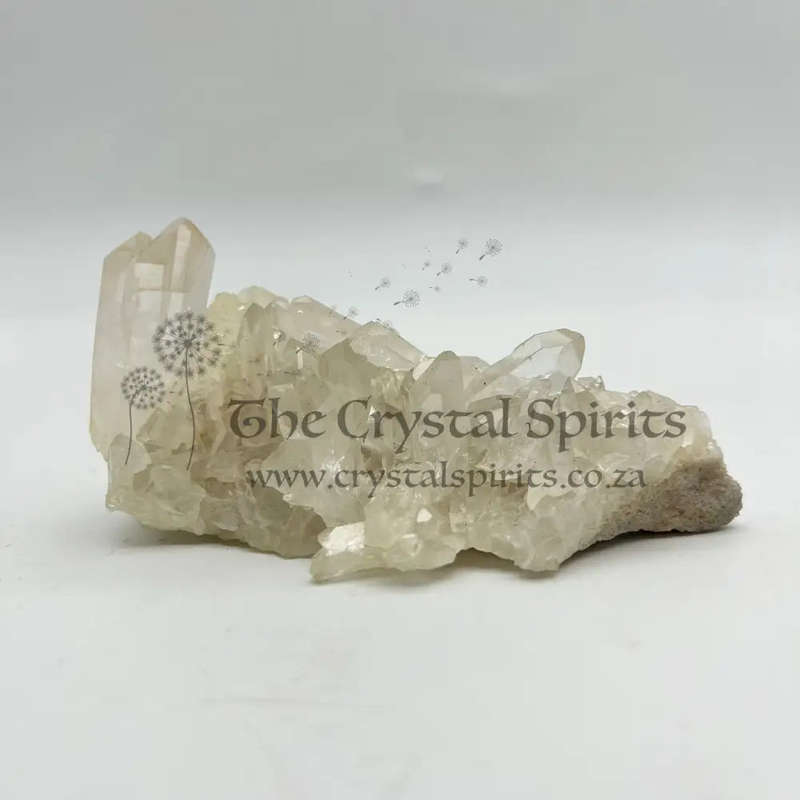 Clear Quartz Cluster