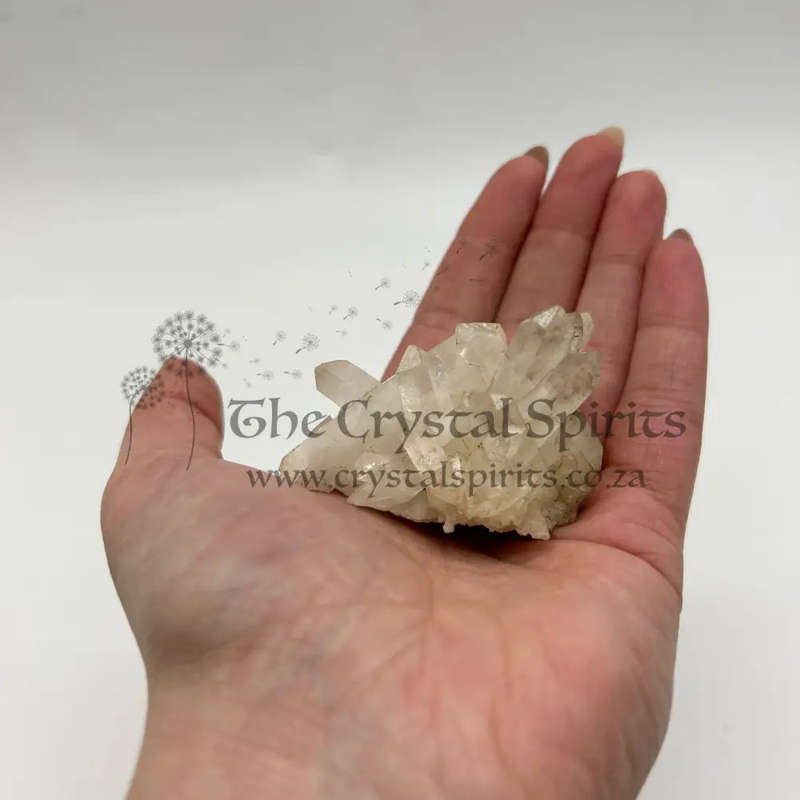 Clear Quartz Cluster