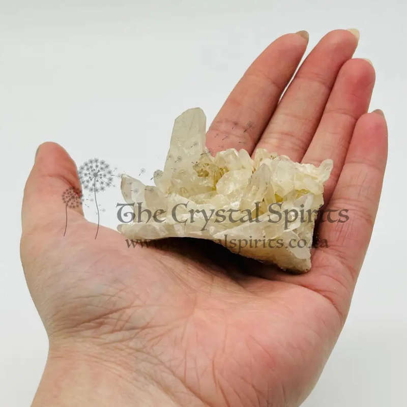 Clear Quartz Cluster
