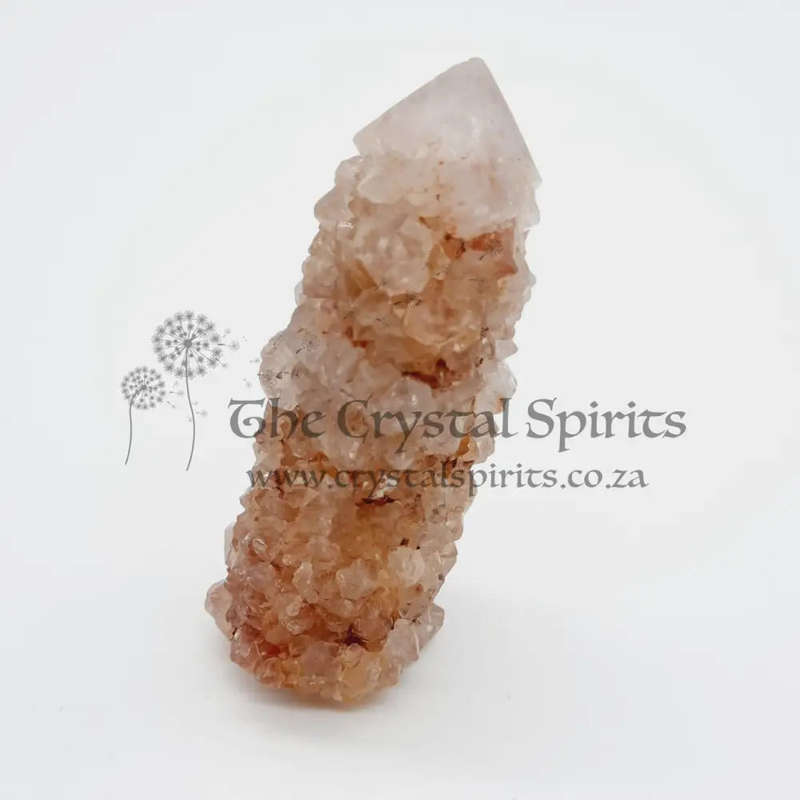 Crimson Queen Cactus Quartz