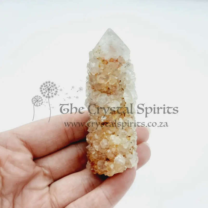 Crimson Queen Cactus Quartz