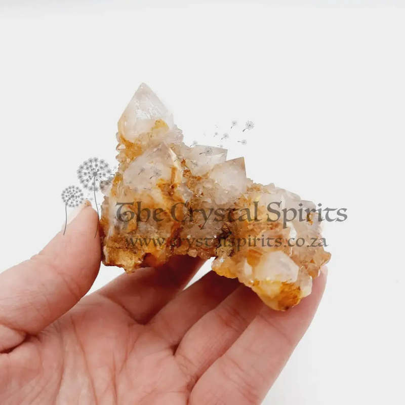 Crystal Cactus Quartz