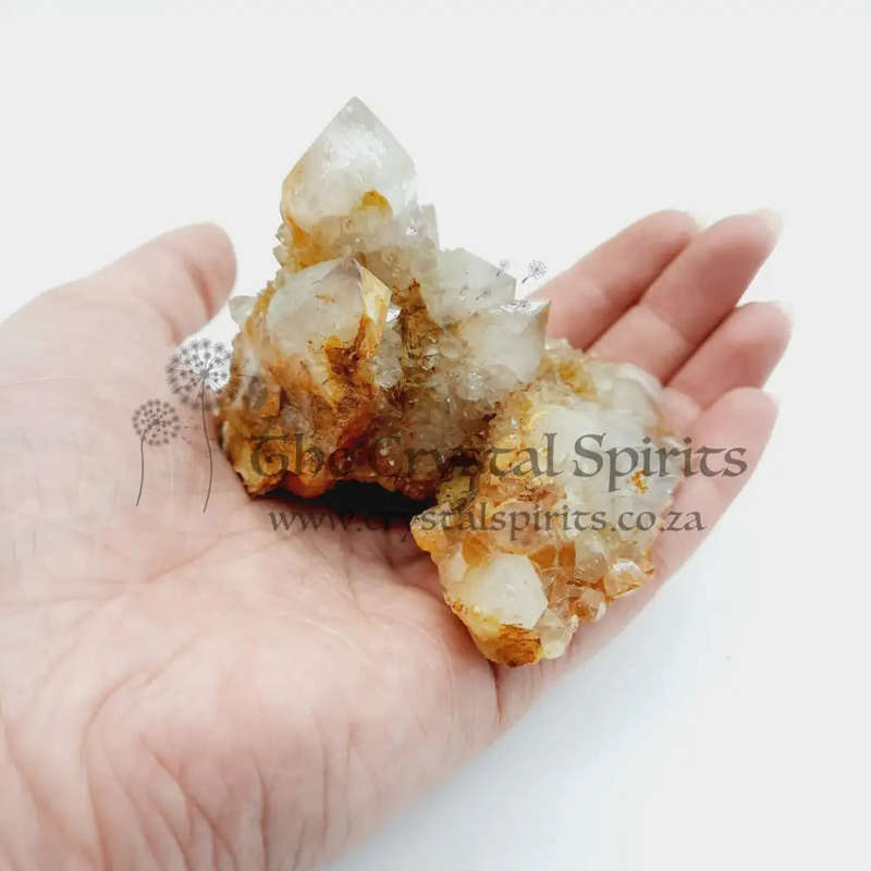 Crystal Cactus Quartz