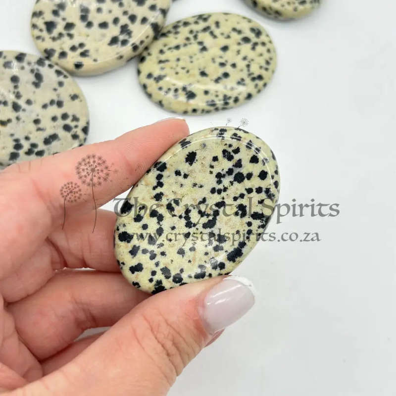 Dalmatian Jasper Crystal Worry Stone