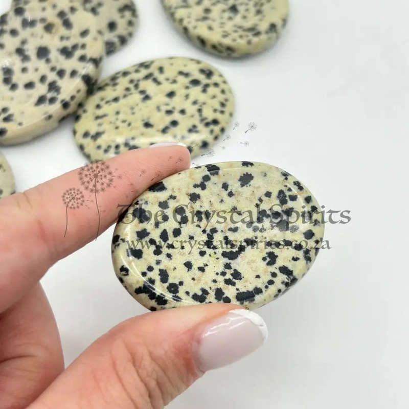 Dalmatian Jasper Crystal Worry Stone