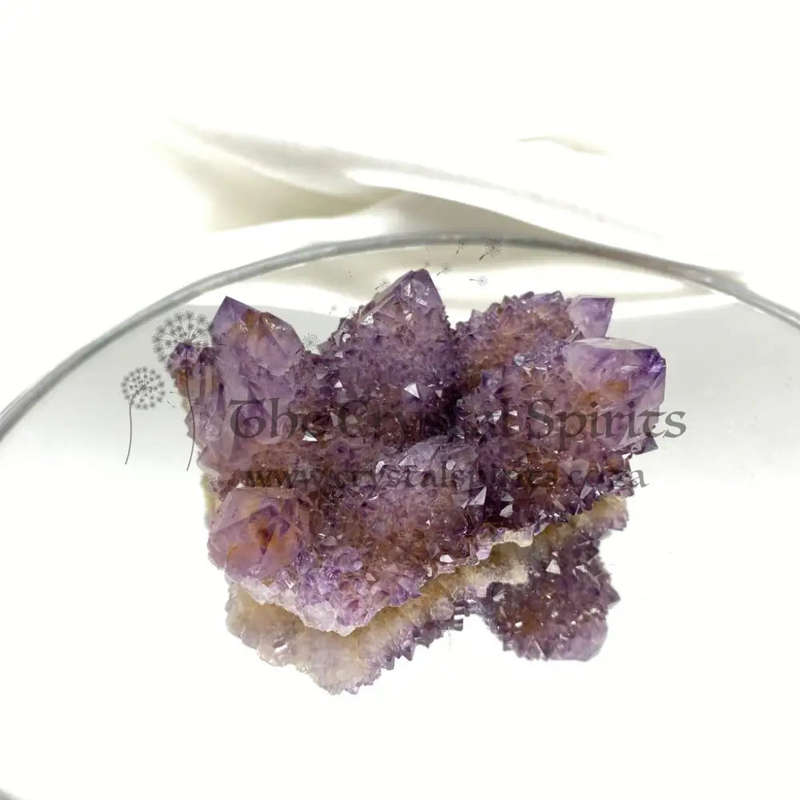 Dark Cactus Quartz Cluster