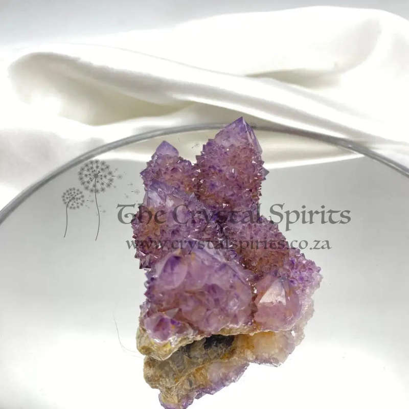 Dark Cactus Quartz Cluster
