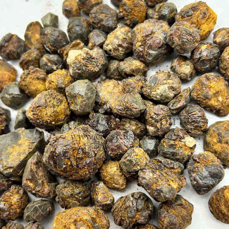 Dendritic Garnet