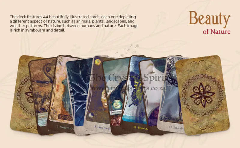 Divine Nature Oracle Deck & Book Set by Angi Sullins