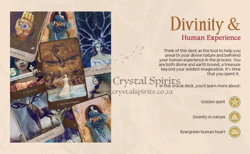 Divine Nature Oracle Deck & Book Set by Angi Sullins
