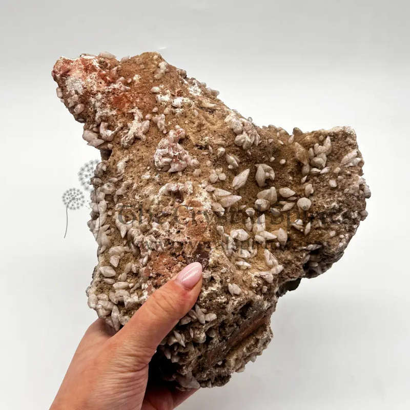 Dogs Tooth Calcite