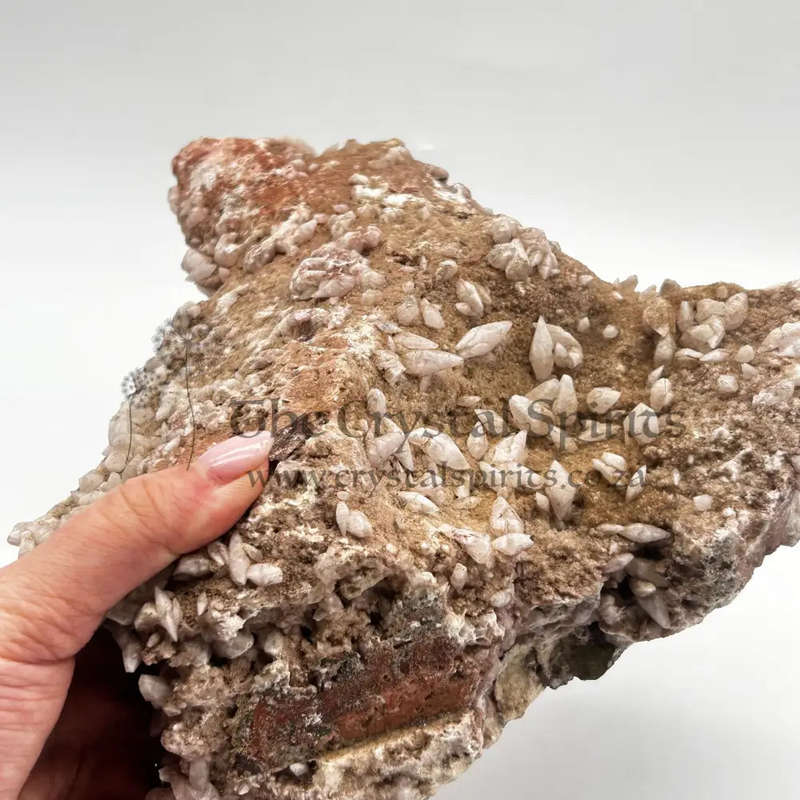 Dogs Tooth Calcite