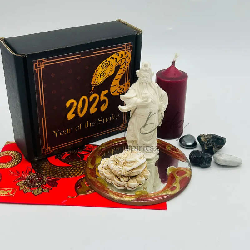 Dragon Zodiac- Matriarch Money Business Protector Kit 2025