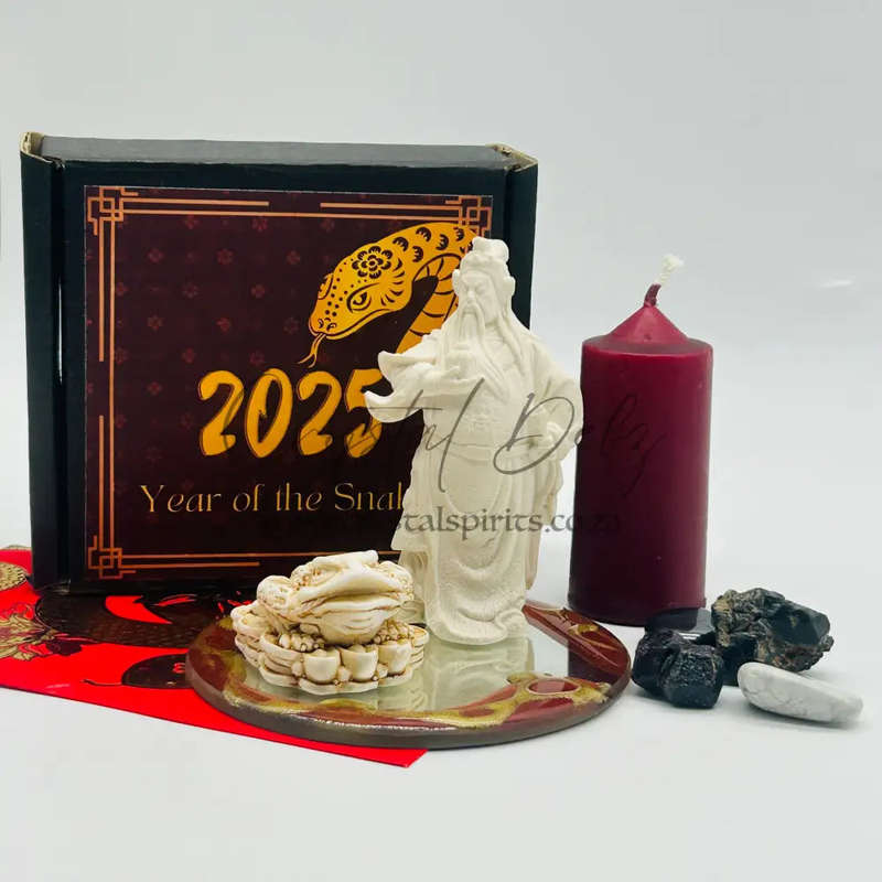 Dragon Zodiac- Matriarch Money Business Protector Kit 2025