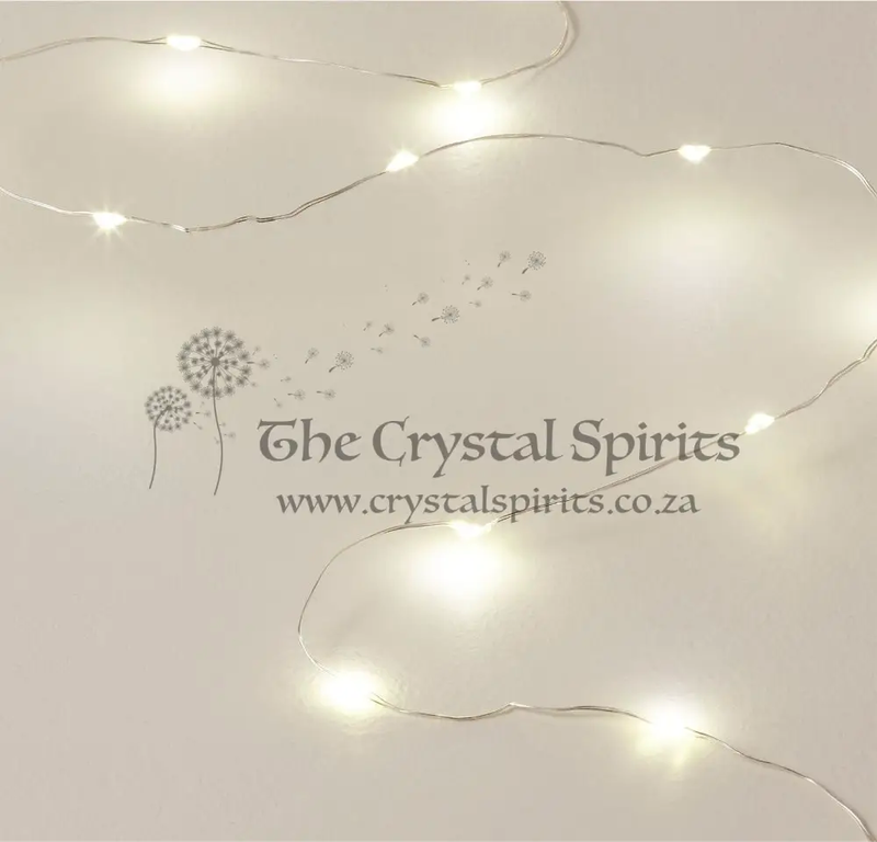 Electric Copper String Lights
