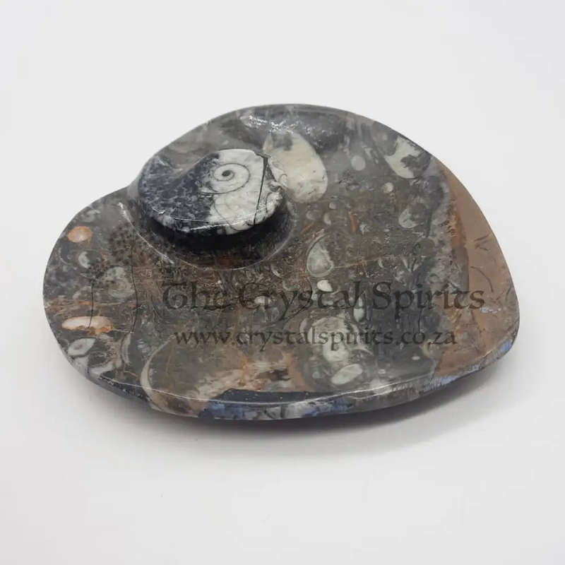 Goniatite Heart Dish