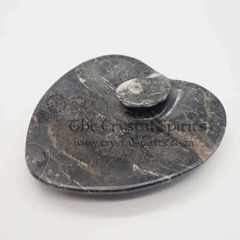 Goniatite Heart Shaped Dish