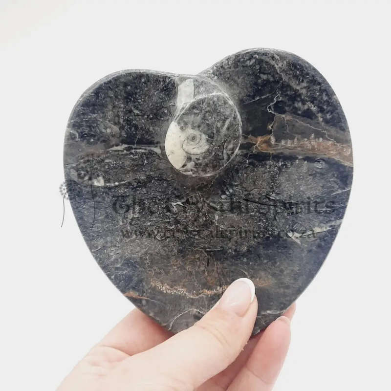 Goniatite Heart Shaped Dish