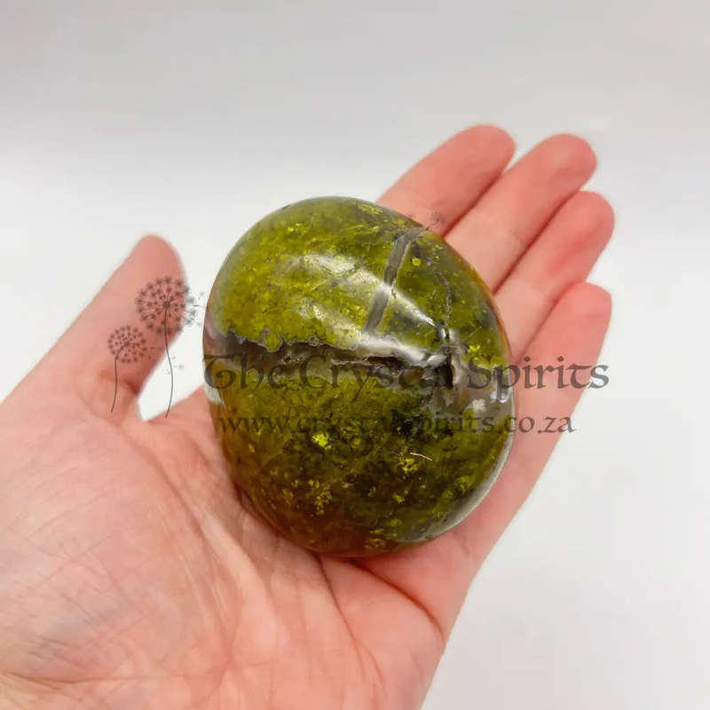Green Opal Palm Stone From Madagascar