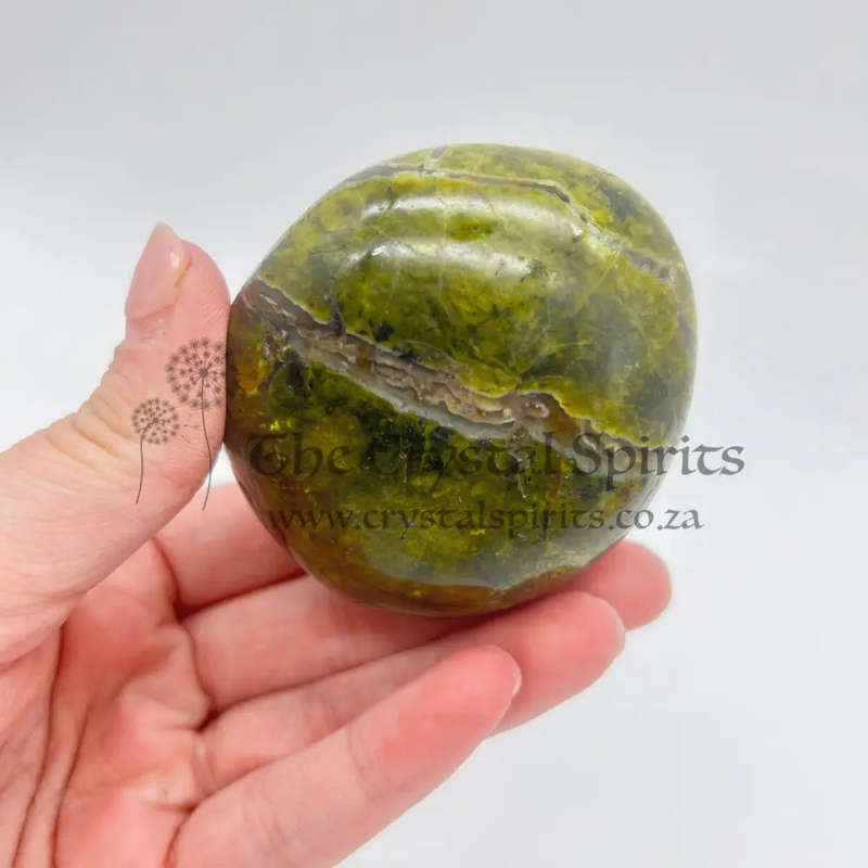 Green Opal Palm Stone From Madagascar