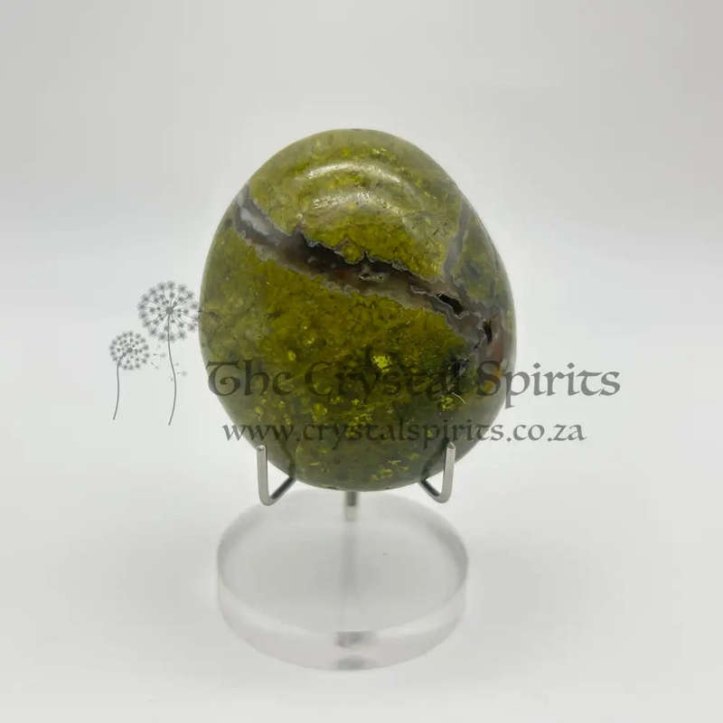 Green Opal Palm Stone From Madagascar