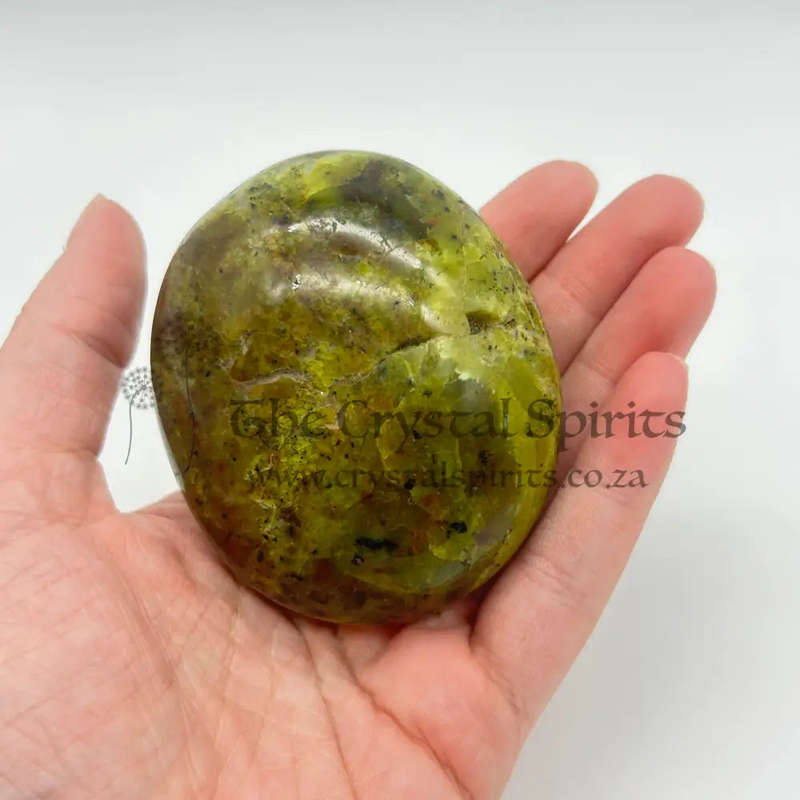 Green Opal Palm Stone From Madagascar