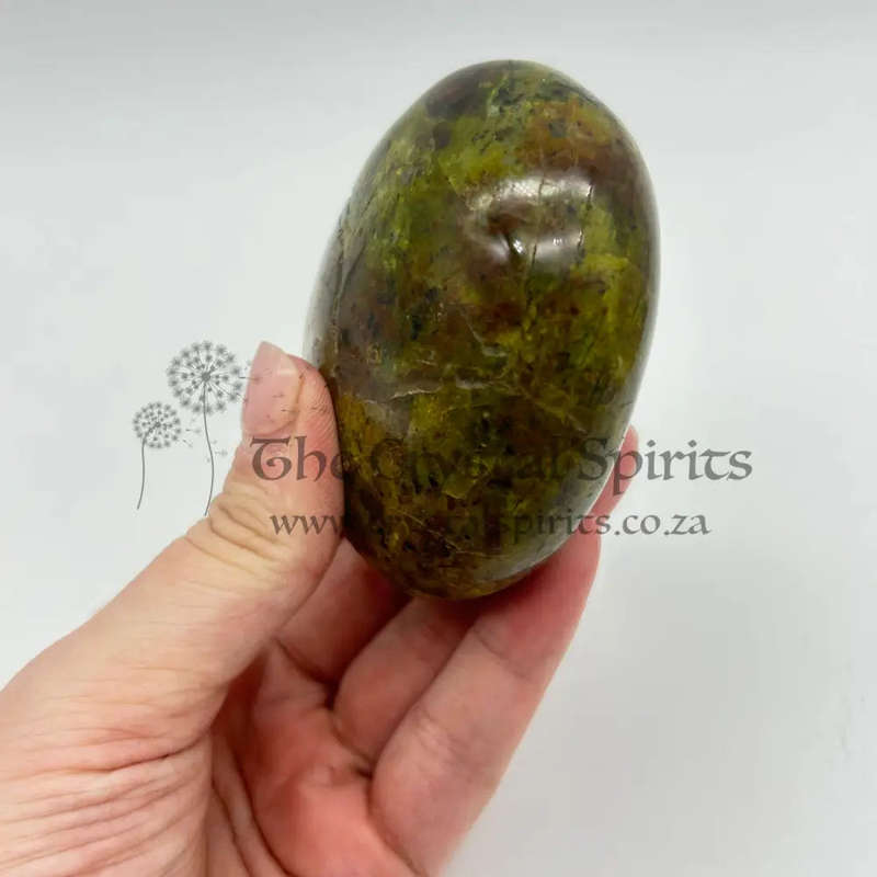 Green Opal Palm Stone From Madagascar
