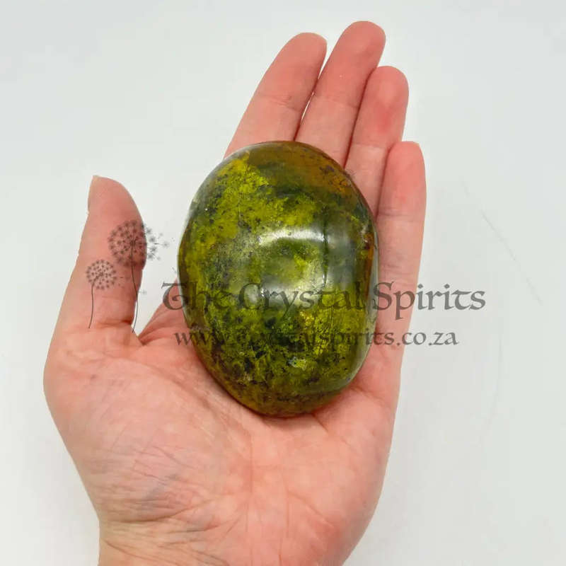 Green Opal Palm Stone From Madagascar