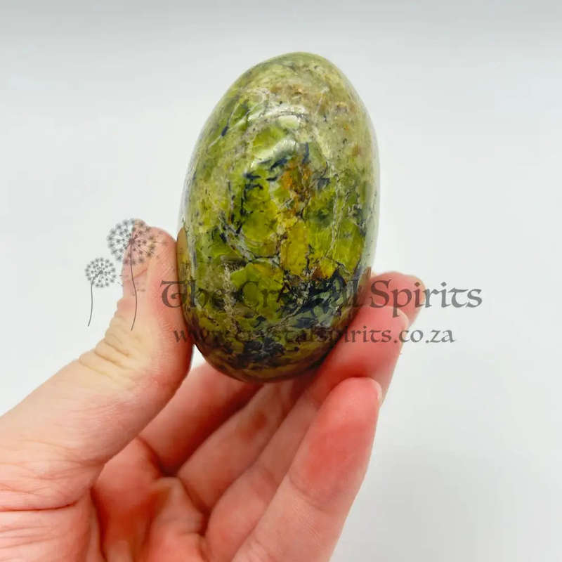Green Opal Palm Stone From Madagascar
