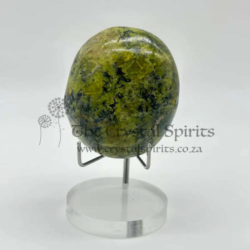 Green Opal Palm Stone From Madagascar