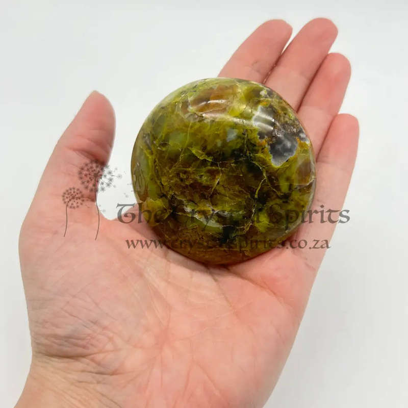 Green Opal Palm Stone From Madagascar