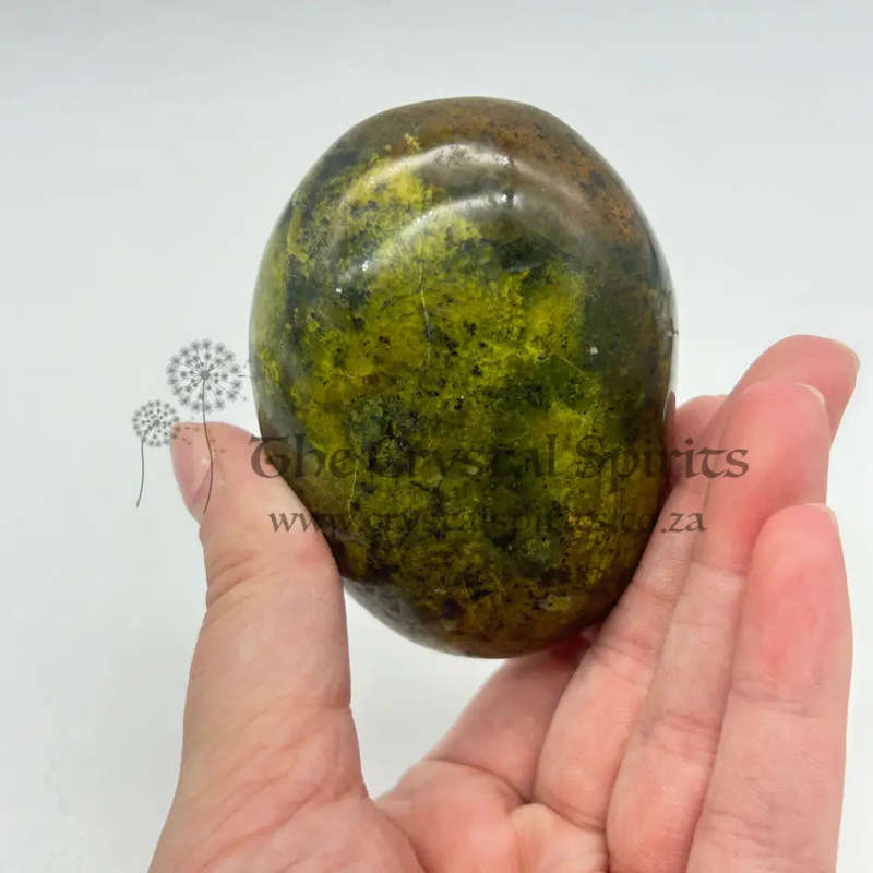 Green Opal Palm Stone From Madagascar