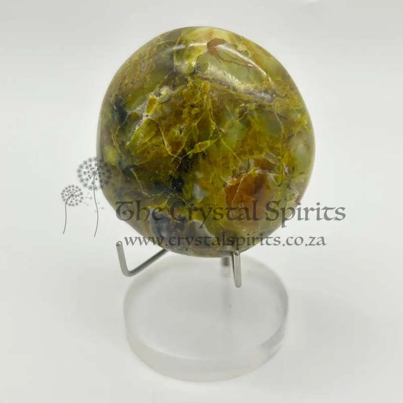 Green Opal Palm Stone From Madagascar