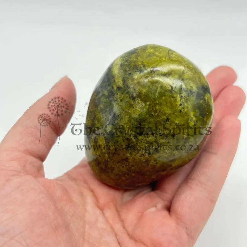 Green Opal Palm Stone From Madagascar