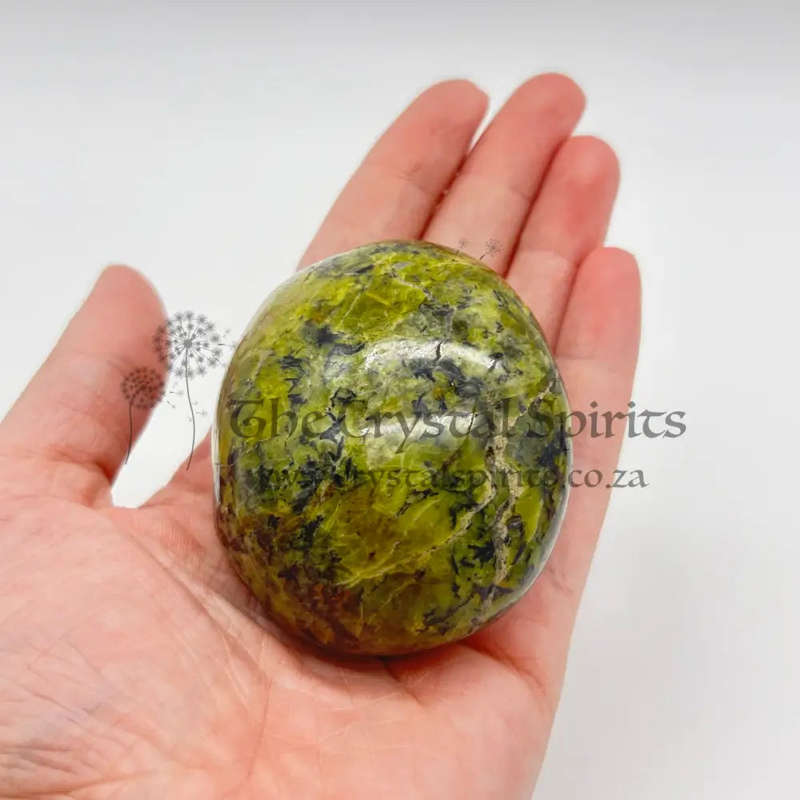 Green Opal Palm Stone From Madagascar