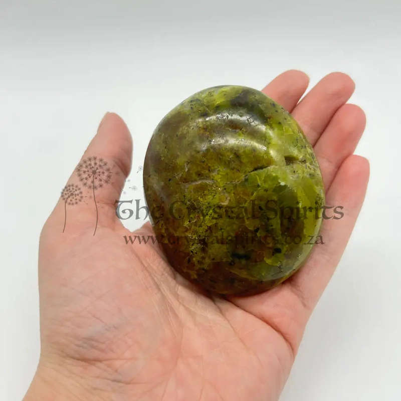 Green Opal Palm Stone From Madagascar