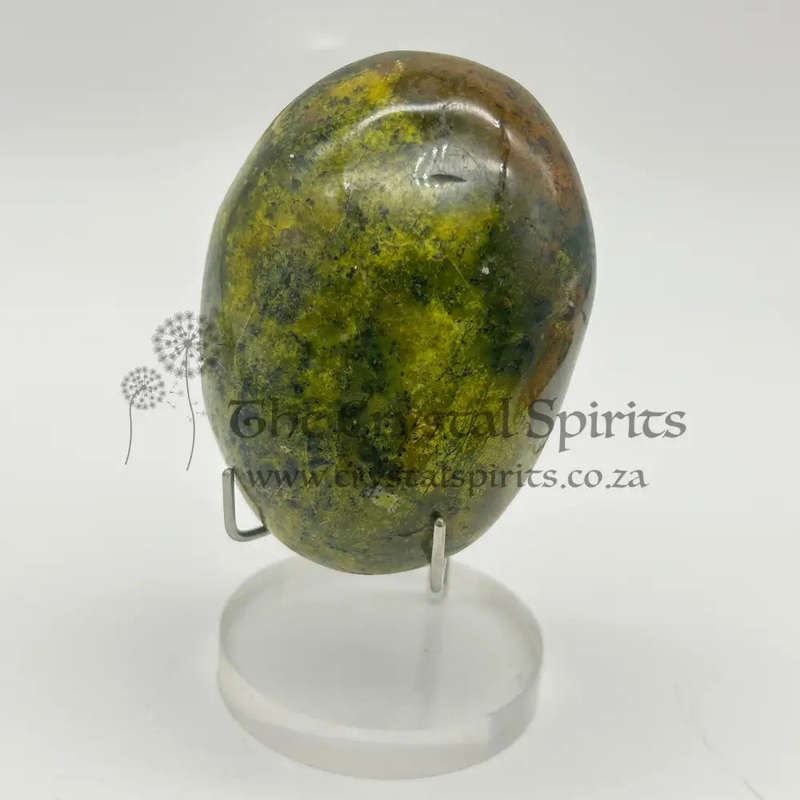Green Opal Palm Stone From Madagascar