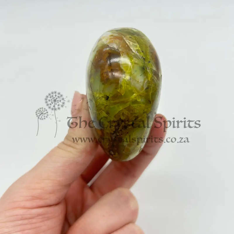 Green Opal Palm Stone From Madagascar
